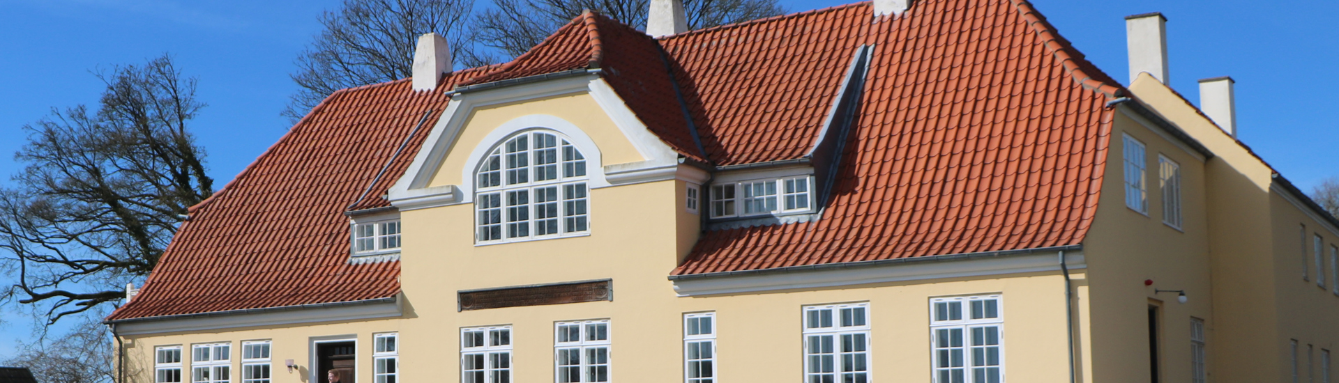 skamowall-mold-moisture-historic-building.jpg1